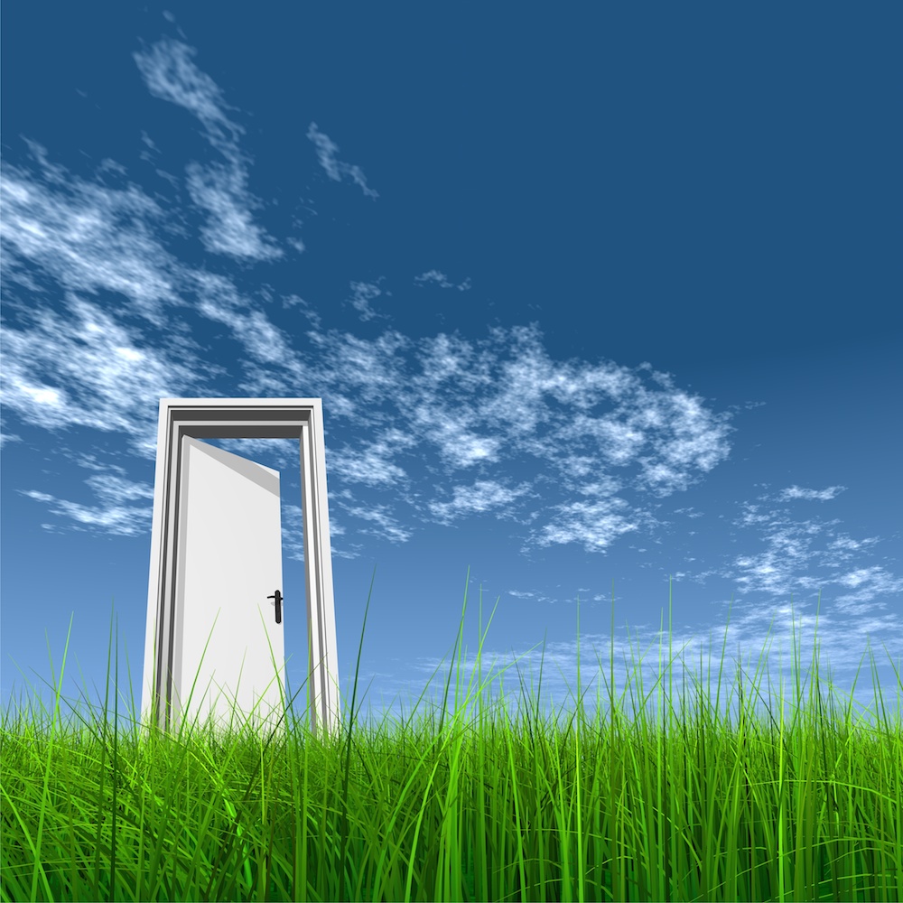 Door opened in grass to the sky, (c) Fotolia/high_resolution, #23298587